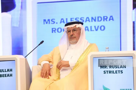 International Demining Conference discusses mobilization of resources for green future