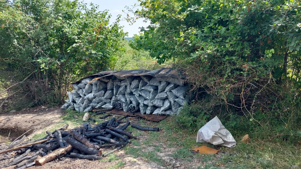 İsmayıllıda qanunsuz işlədilən ocaqxana aşkarlanıb