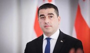 Papuaşvili: Baltikyanı ölkələr artıq açıq şəkildə gürcü xalqına qarşı çıxış edirlər