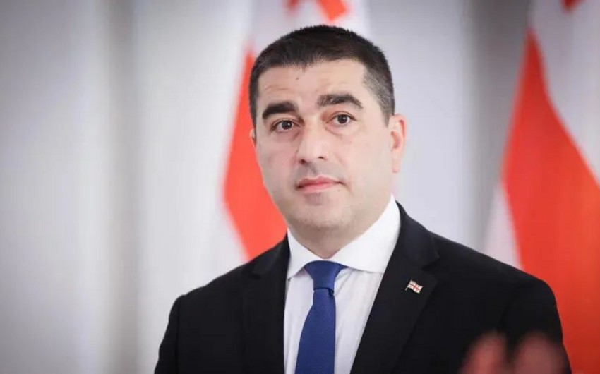 Gürcüstanın parlament sədri Aİ ölkələrinin səfirliklərini zorakılığı təşviq etməməyə çağırıb
