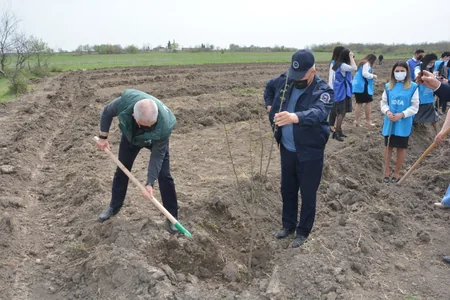 Bakı və Tərtərdə daha 1 225 ədəd müxtəlif cinsli ağac əkilib