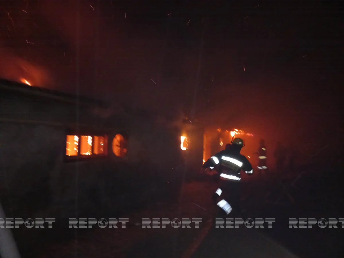 Cəlilabadda ferma yanıb, 29 baş mal-qara tələf olub