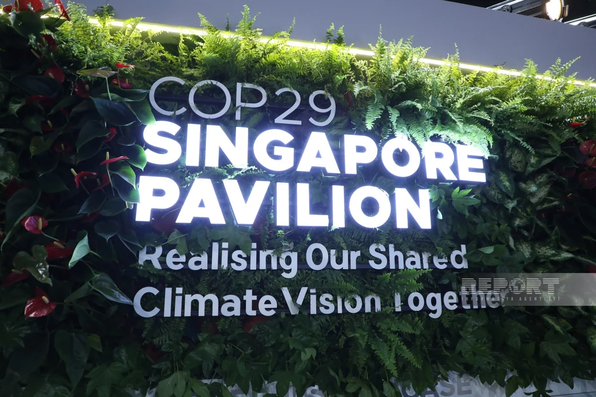 Singapore Pavilion established at COP29