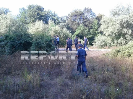 Qaxda 3 250 kq narkotik bitki yandırılaraq məhv edilib