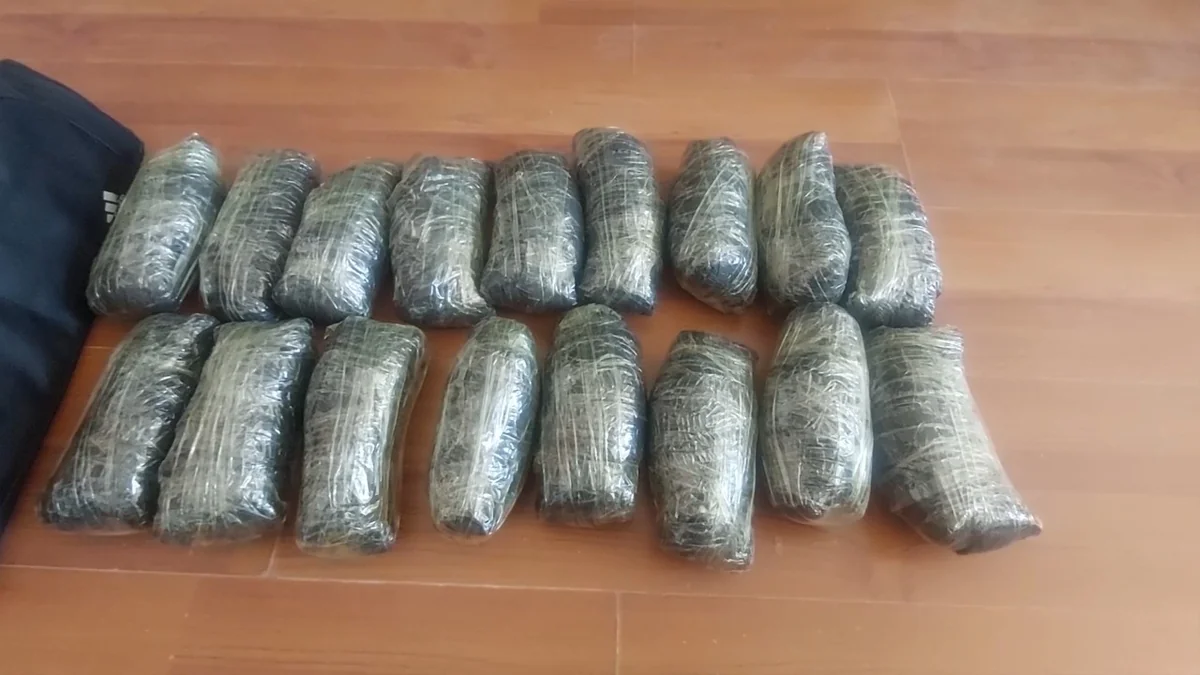 Goranboyda müxtəlif cinayətləri törətməkdə şübhəli bilinən 15 nəfər şəxs saxlanılıb