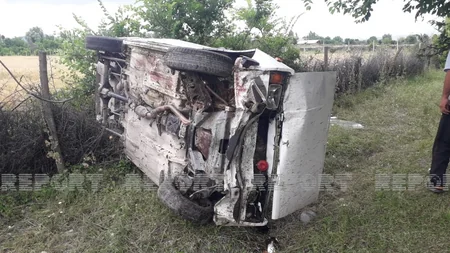 Qəbələdə avtomobillər qoyun sürüsünü vurub, heyvanlar tələf olub - YENİLƏNİB