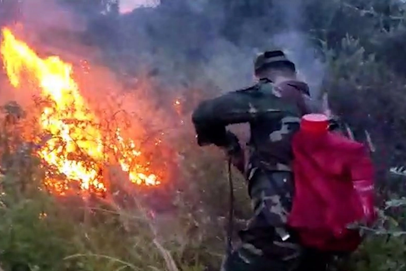 Xaçmazda meşə massivinin yaxınlığında yanğın olub