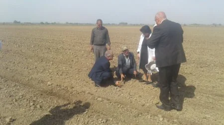 Beyləqanda elmi-praktik seminar - tarla günü keçirilib