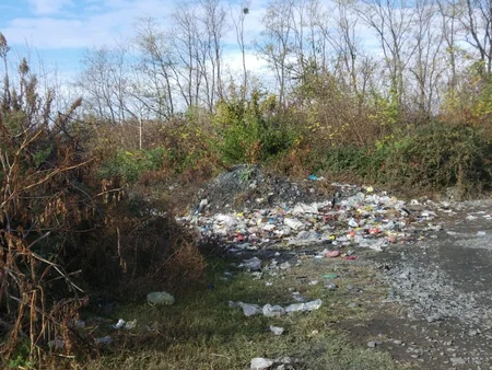 Zaqatalada bələdiyyə sədri cərimələnib