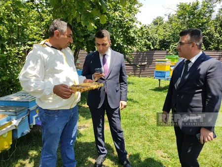 Qəbələdə keçmiş məcburi köçkünlər üçün qısamüddətli təlimlər keçirilib