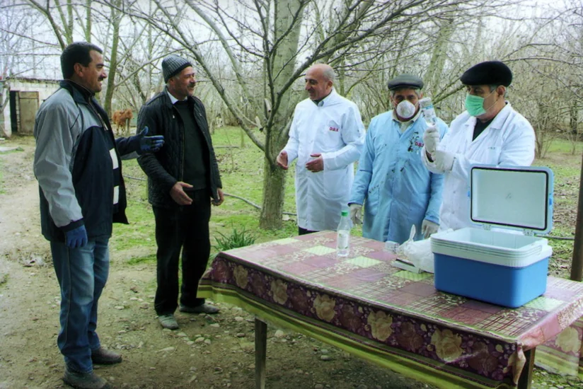 Xocavənddə heyvanlar arasında profilaktik peyvəndləmə və diaqnostik müayinələr aparılır