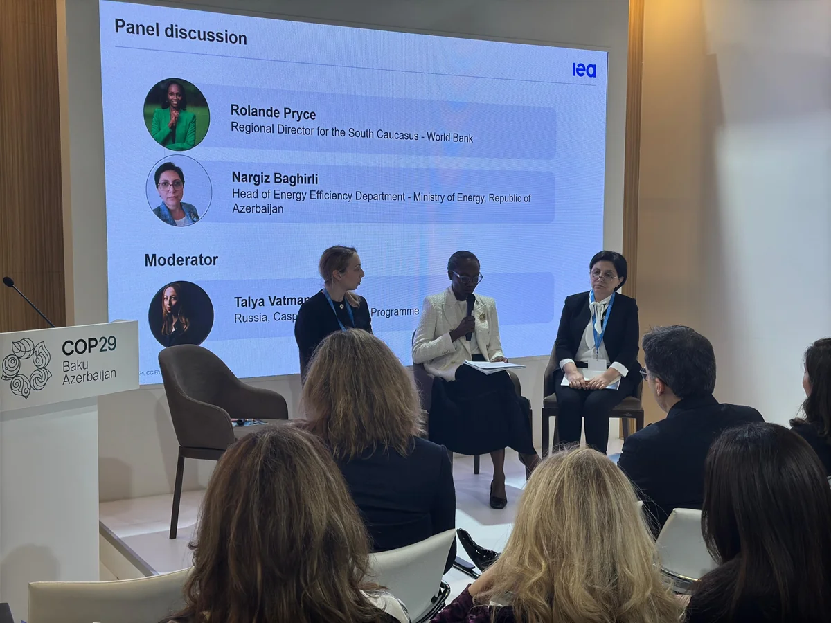 Azerbaijan unveils energy efficiency roadmap at COP29