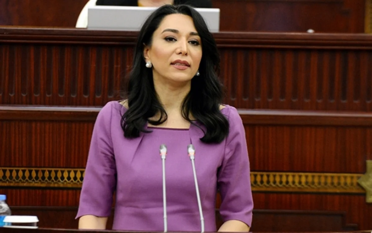 Ombudsman mina xəritələri ilə bağlı beynəlxalq təşkilatlara çağırış edib