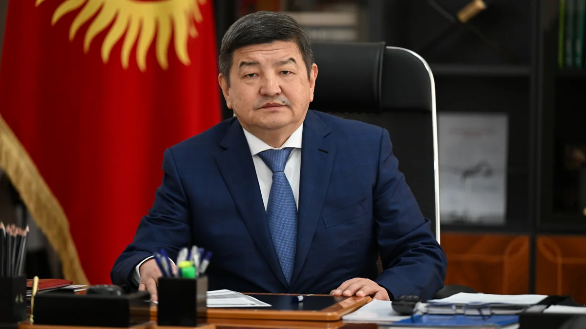 Глава Кабмина Кыргызстана прибыл с визитом в Анкару