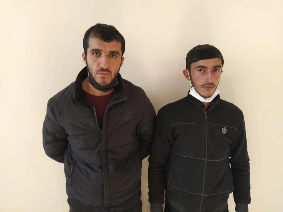 Qubada mal-qara oğruları saxlanılıb