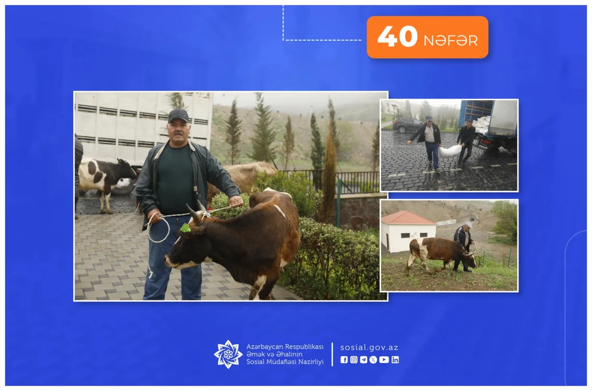 Talış kəndinə köçürülən sakinlərdən 40 nəfərin məşğulluğu təmin olunub