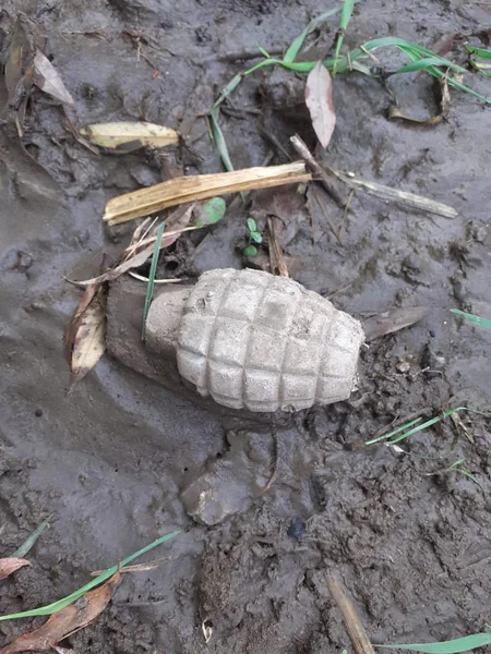 Göygöldə əl qumbarası aşkar edildi