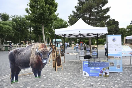 Azərbaycanın milli parklarının tanıtımı ilə bağlı hər ay tədbirlər keçiriləcək - YENİLƏNİB