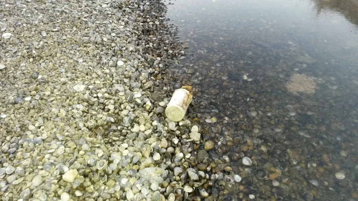 Füzulidə partlamamış tüstülü əl qumbarası tapılıb