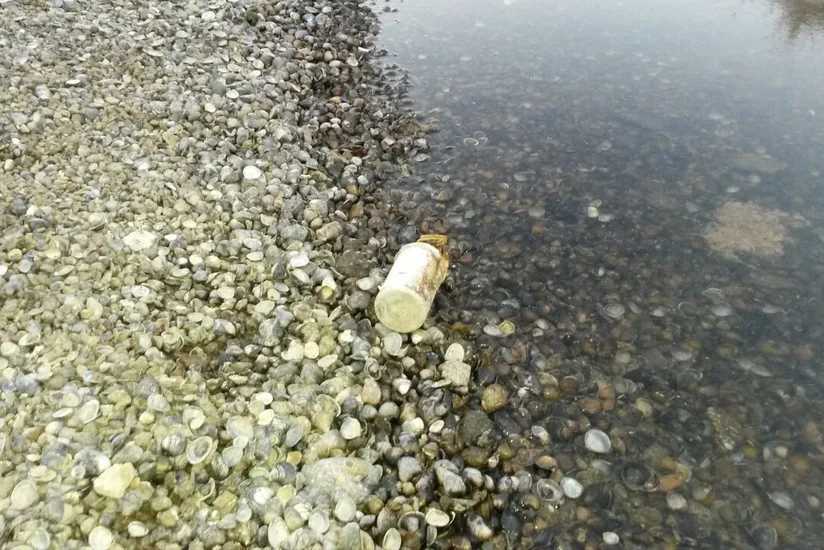 Füzulidə partlamamış tüstülü əl qumbarası tapılıb