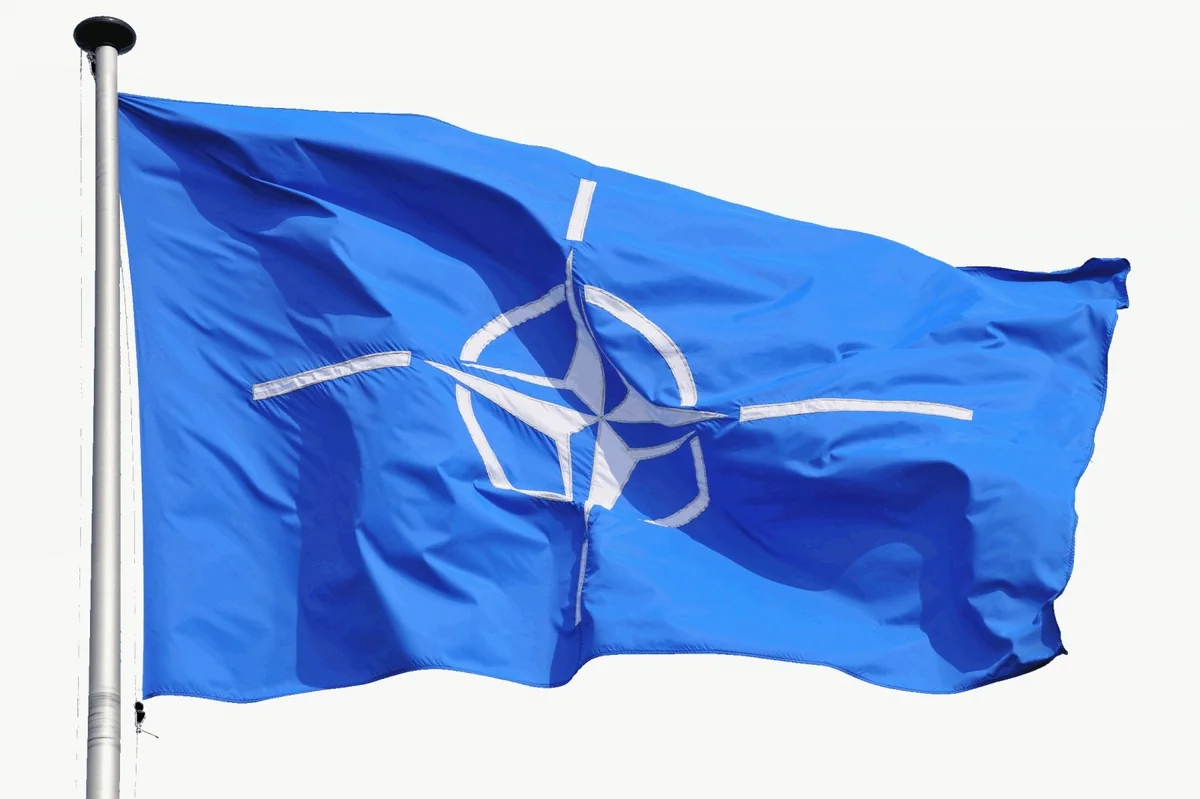 NATO PA-nın yaz sessiyası Tbilisidə keçiriləcək