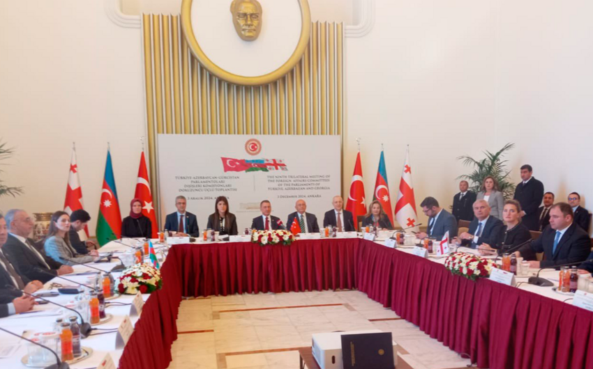 Azərbaycan, Türkiyə və Gürcüstan parlamentlərinin komitə sədrləri regional əməkdaşlığı müzakirə ediblər - YENİLƏNİB