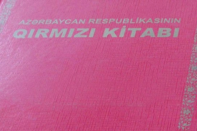 Названия некоторых животных будут исключены из Красной книги