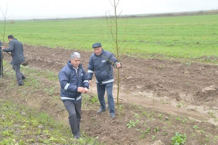Cocuq Mərcanlıda Aprel şəhidlərinin xatirəsinə ağacəkmə aksiyası keçirilib
