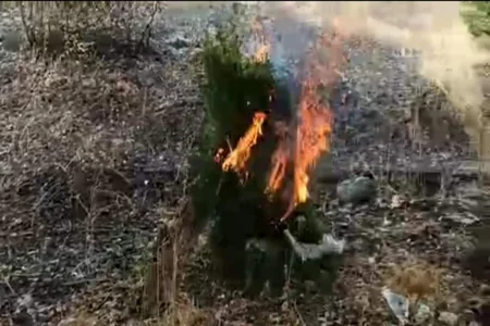 Number of weapons thrown by Armenians in Fuzuli while retreating revealed