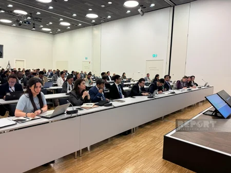 COP29 prezidenti kiçik ada dövlətləri üzrə Danışıqlar Qrupunun nümayəndələri ilə görüşüb