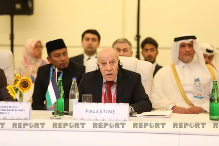 Baku Conference of NAM Parliamentary Network continues