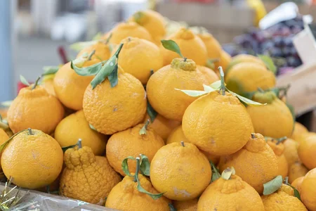 Bakıda və Abşeronda “Kənddən Şəhərə” Yeni il yarmarkaları başlayıb