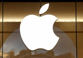 Apple shareholders re-elect board of directors