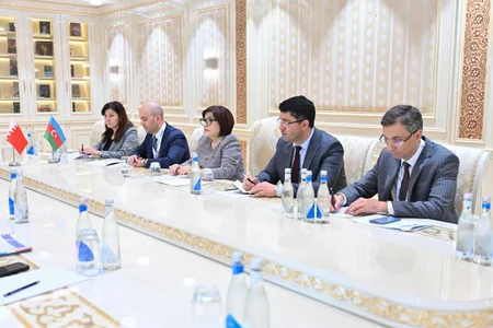 Bahrain supports Azerbaijan's chairmanship of Non-Aligned Movement parliamentary network