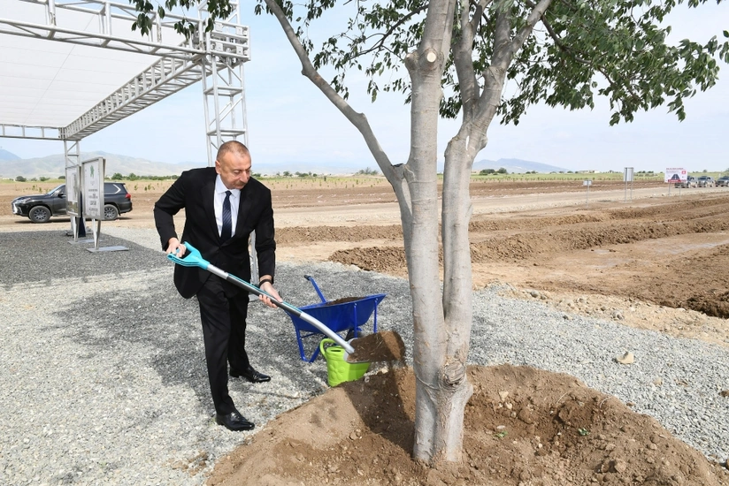 Prezident Ağdam şəhər meşə-parkında ağac əkib - YENİLƏNİB