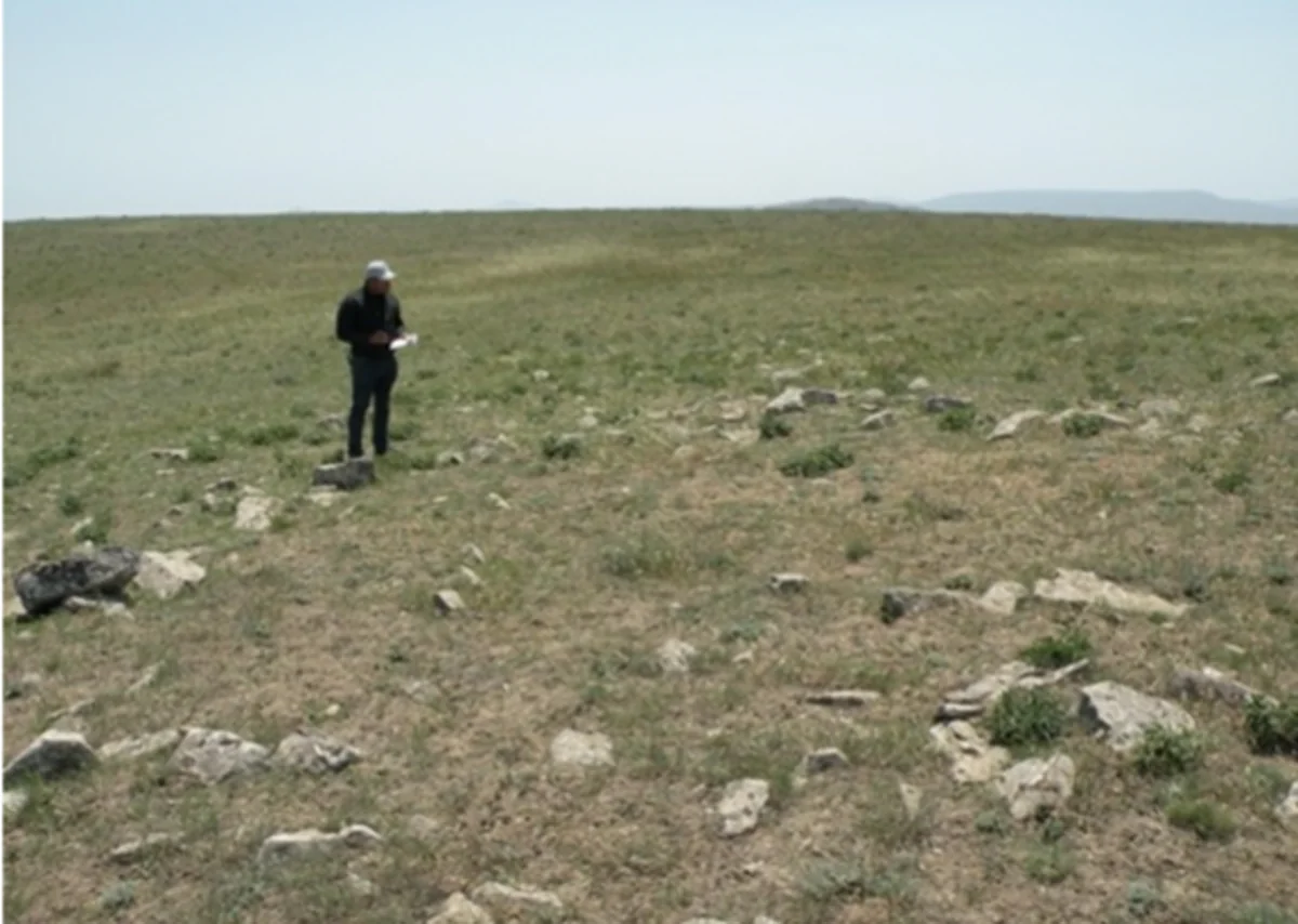 Impact assessment of wind energy project to be complete by year's end