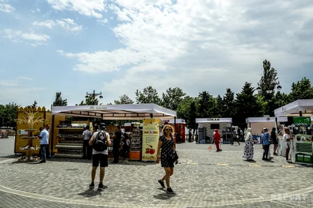 Bakıda orqanik məhsullar festivalı keçirilir - FOTOREPORTAJ