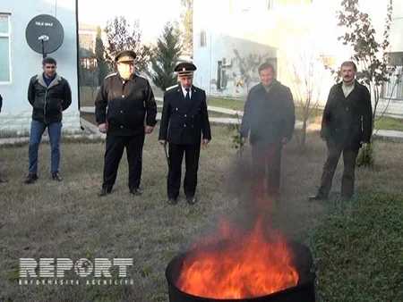 Salyanda narkotik maddələr yandırılma üsulu ilə məhv edilib - FOTO