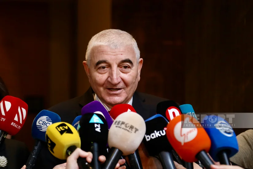 Number of international observers registered for presidential elections nears 800