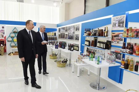 President Ilham Aliyev reviewed Aran Regional Development Center in Yevlakh