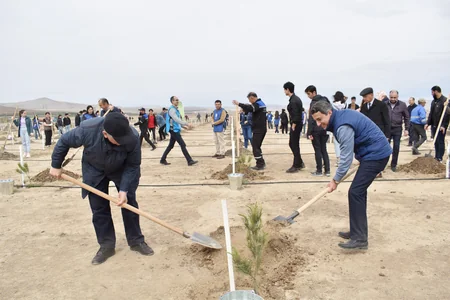 Yer Günü 2022” münasibətilə kütləvi ağacəkmə aksiyası keçirilib