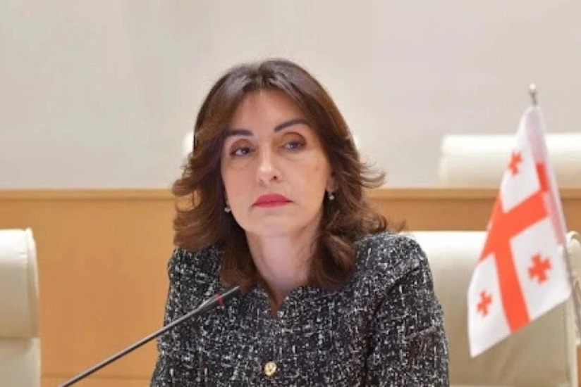 Maka Boçorişvili: Gürcüstan və Azərbaycandakı siyasi sabitlik ortaq maraqların qorunmasına xidmət edir