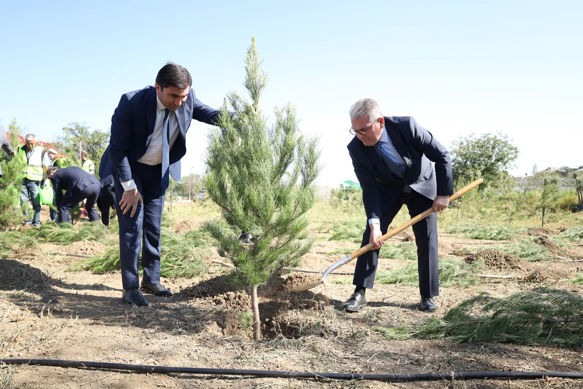 Türkiyə və Gürcüstanın Baş konsulları Gəncədə ağacəkmə aksiyasında iştirak ediblər
