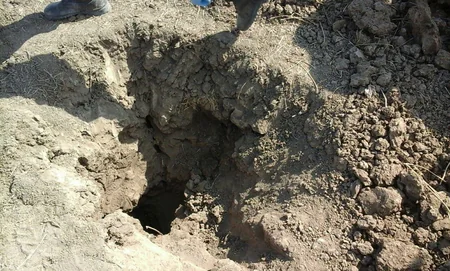 ANAMA: dörd rayon ərazisində 15 ədəd  partlamamış hərbi sursat zərərsizləşdirilib