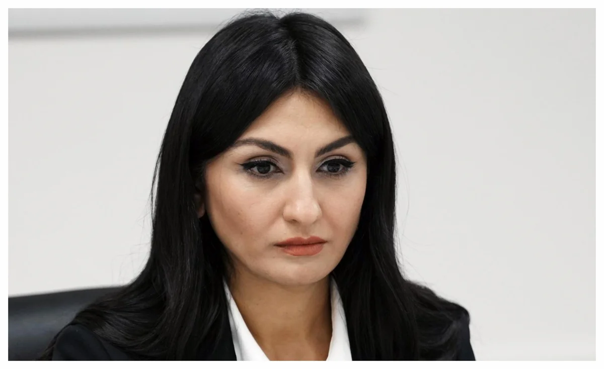 Samirə Musayeva: Dövlət qeydiyyatında iştirak edən qurumların məlumat bazaları əlaqələndiriləcək