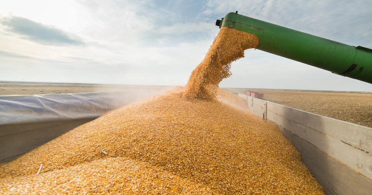 EU: Russia aims to create new dependencies with cheap grain