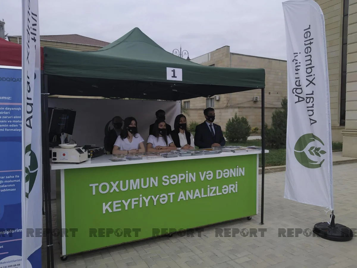 Cəlilabadda toxum sərgi-satış yarmarkası keçirilib