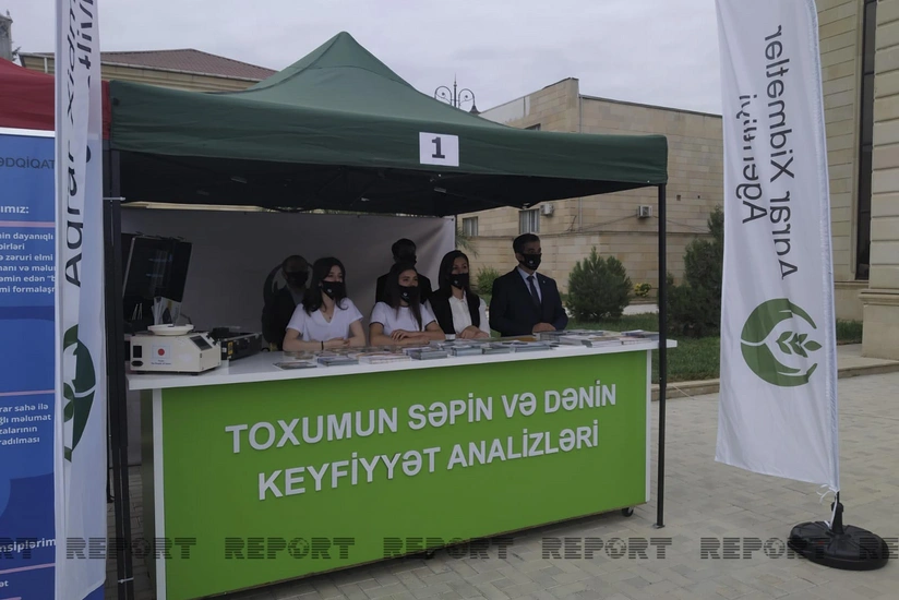 Cəlilabadda toxum sərgi-satış yarmarkası keçirilib