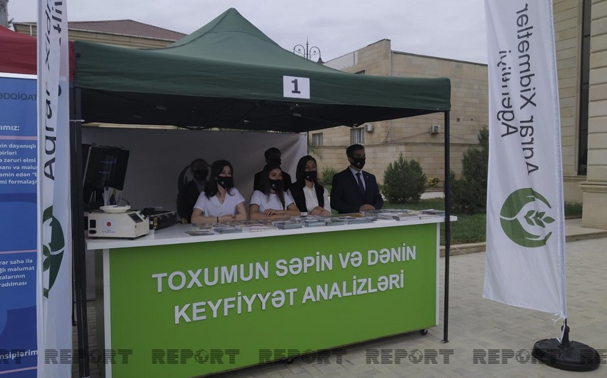 Cəlilabadda toxum sərgi-satış yarmarkası keçirilib