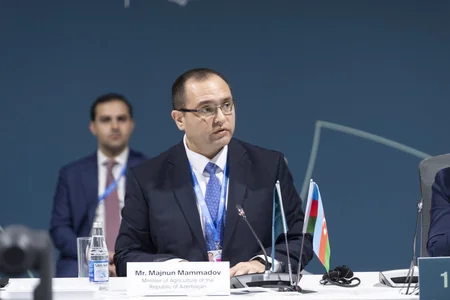 Baku hosts panel discussions on 'From Global Goals to Local Action' as part of COP29